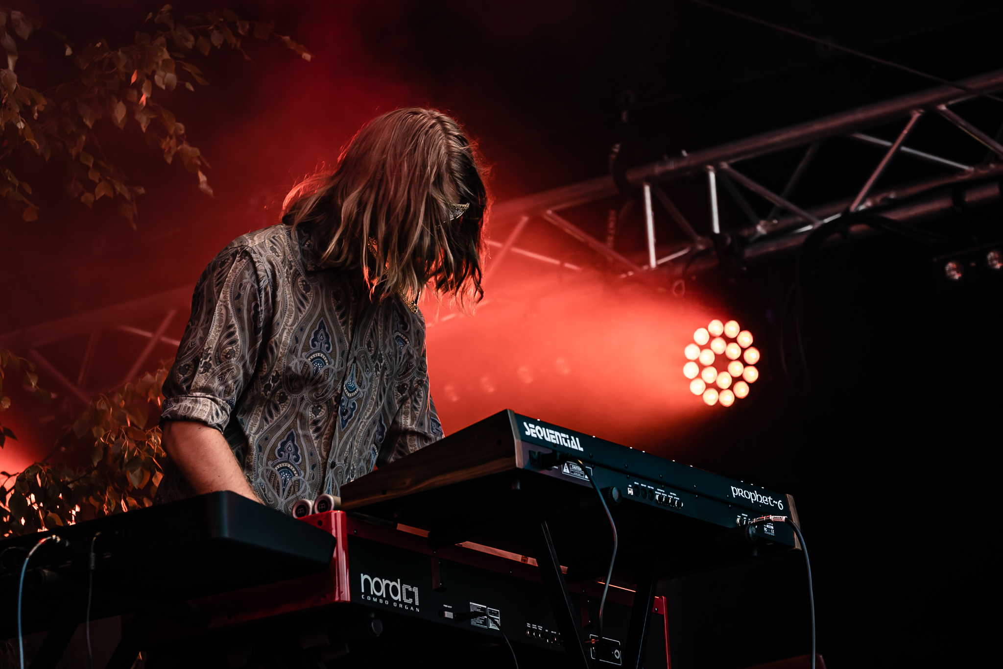 Foto David Gustavsson