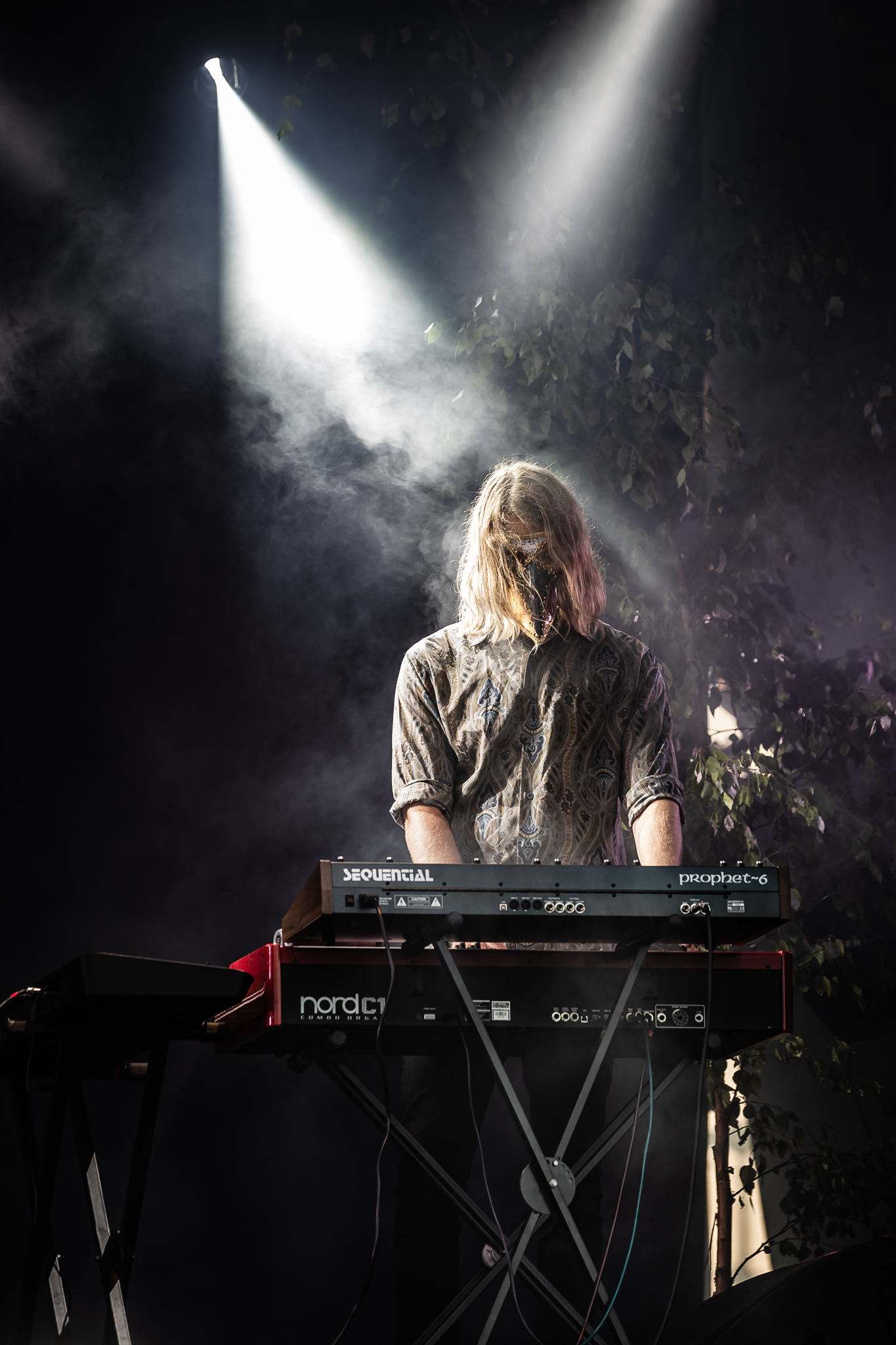 Foto David Gustavsson